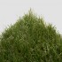 Dublin 36 Artificial Grass Top