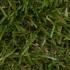Dublin 36 Artificial Grass Zoom
