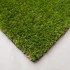 Kensington Artificial Grass - 3D