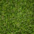 Kensington Artificial Grass - Close