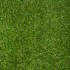 Kensington Artificial Grass