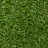 Cress 27 Artificial Grass
