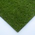 Cress 27 Artificial Grass