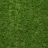 Cress 27 Artificial Grass