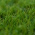 Cress 27 Artificial Grass