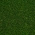 Teasel 38 Artificial Grass