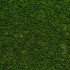 Teasel 38 Artificial Grass