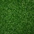 Rio 11 Artificial Grass - Close