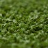 Ryder Pro Artificial Grass - Zoom