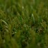Mayfair Artificial Grass - Zoom