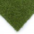 Chicory 17 Artificial Grass