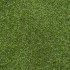 Chicory 17 Artificial Grass
