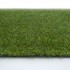 Chicory 17 Artificial Grass