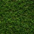 Daisy 40 Artificial Grass