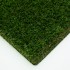 Daisy 40 Artificial Grass