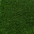 Daisy 40 Artificial Grass