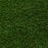 Daisy 40 Artificial Grass