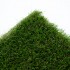 Daisy 40 Artificial Grass