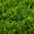 Daisy 40 Artificial Grass