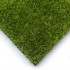 Lily 37 Artificial Grass