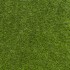Lily 37 Artificial Grass