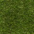 Lily 37 Artificial Grass