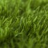 Lily 37 Artificial Grass