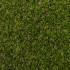 Uxbridge 30 Artificial Grass - Mid
