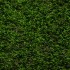 Clover 38 Artificial Grass