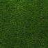 Clover 38 Artificial Grass