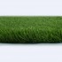 Clover 38 Artificial Grass