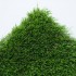 Clover 38 Artificial Grass