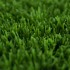Clover 38 Artificial Grass