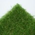 Harebell 40 Artificial Grass