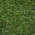 Coral 17 Artificial Grass