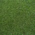 Coral 17 Artificial Grass