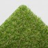 Oxford 26 Artificial Grass - Top