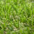 Oxford 26 Artificial Grass - Zoom
