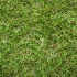 Oxford 26 Artificial Grass - Mid