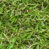 Oxford 26 Artificial Grass - Close