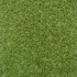 Oxford 26 Artificial Grass - Far