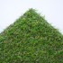 Coral 17 Artificial Grass