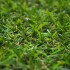 Coral 17 Artificial Grass