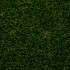 Poppy 42 Artificial Grass
