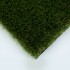 Poppy 42 Artificial Grass