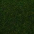 Poppy 42 Artificial Grass