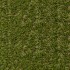 Antigua 27 Artificial Grass close