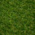 Rose 27 Artificial Grass