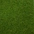Rose 27 Artificial Grass