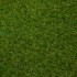 Rose 27 Artificial Grass